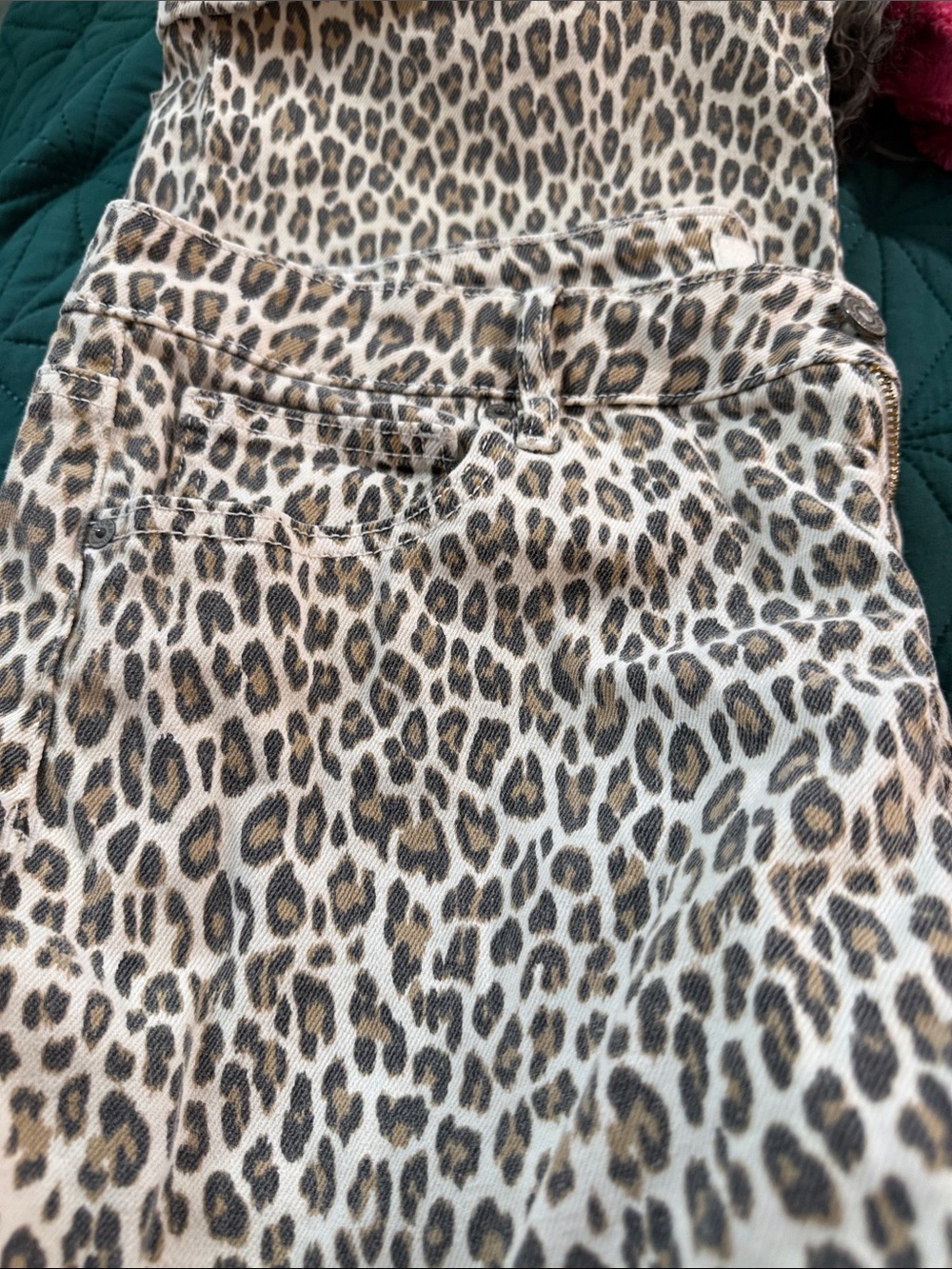 Leopard Print Wide Leg Jeans - Women